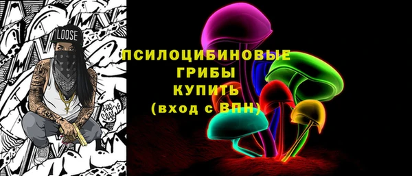молекула духа Медногорск
