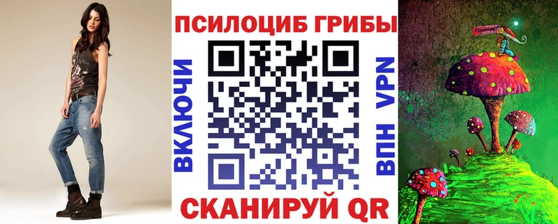 Галлюциногенные грибы Psilocybine cubensis  это телеграм  omg рабочий сайт  Тверь  наркотики 