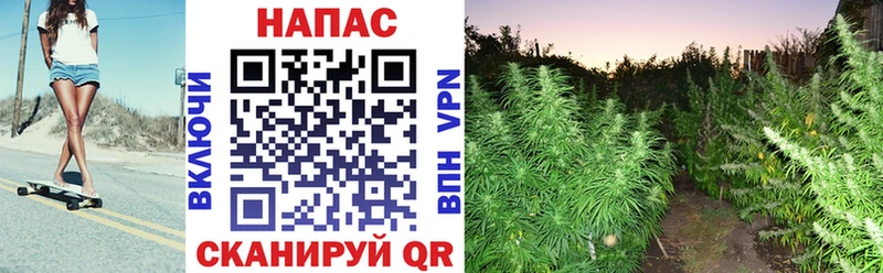 площадка телеграм  блэк спрут рабочий сайт  Бошки марихуана тримм  Тверь  дарнет шоп 